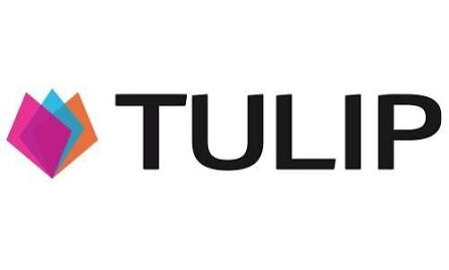 Tulip